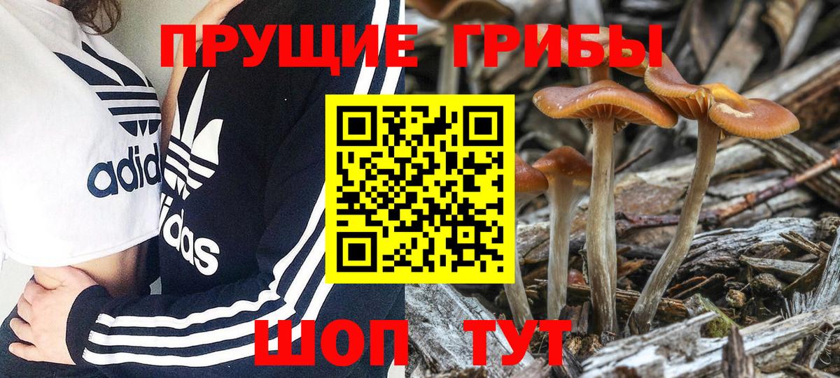Галлюциногенные грибы GOLDEN TEACHER  Псилоцибиновые грибы GOLDEN TEACHER  Вход с VPN  Артёмовский 