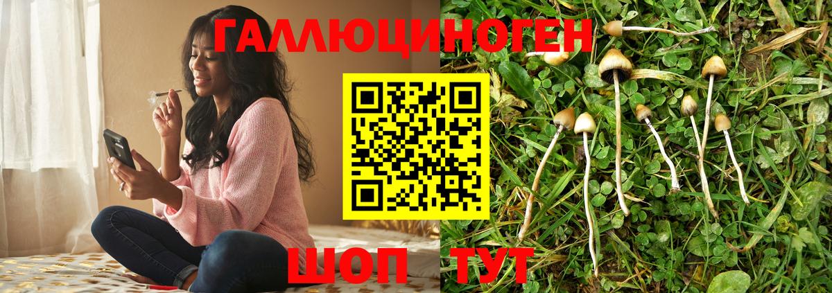 Псилоцибиновые грибы Cubensis Артёмовский
